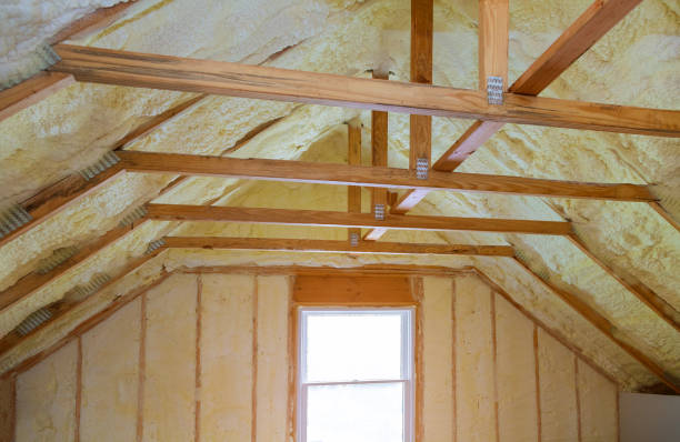 Best Specialized Insulation Services in Krum, TX