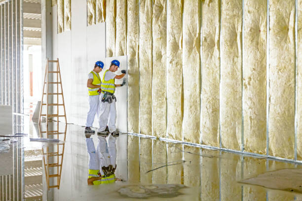 Best Eco-Friendly Insulation in Krum, TX